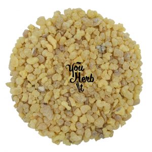 Frankincense Resin Tears Medium Grain (1-2cm) Incense